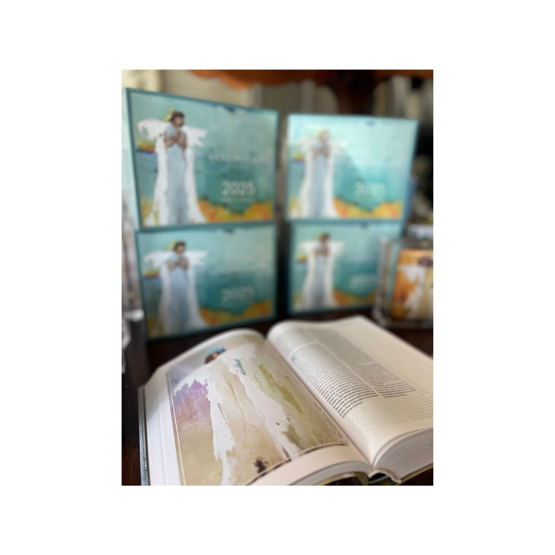 AMP Holy Bible Blue