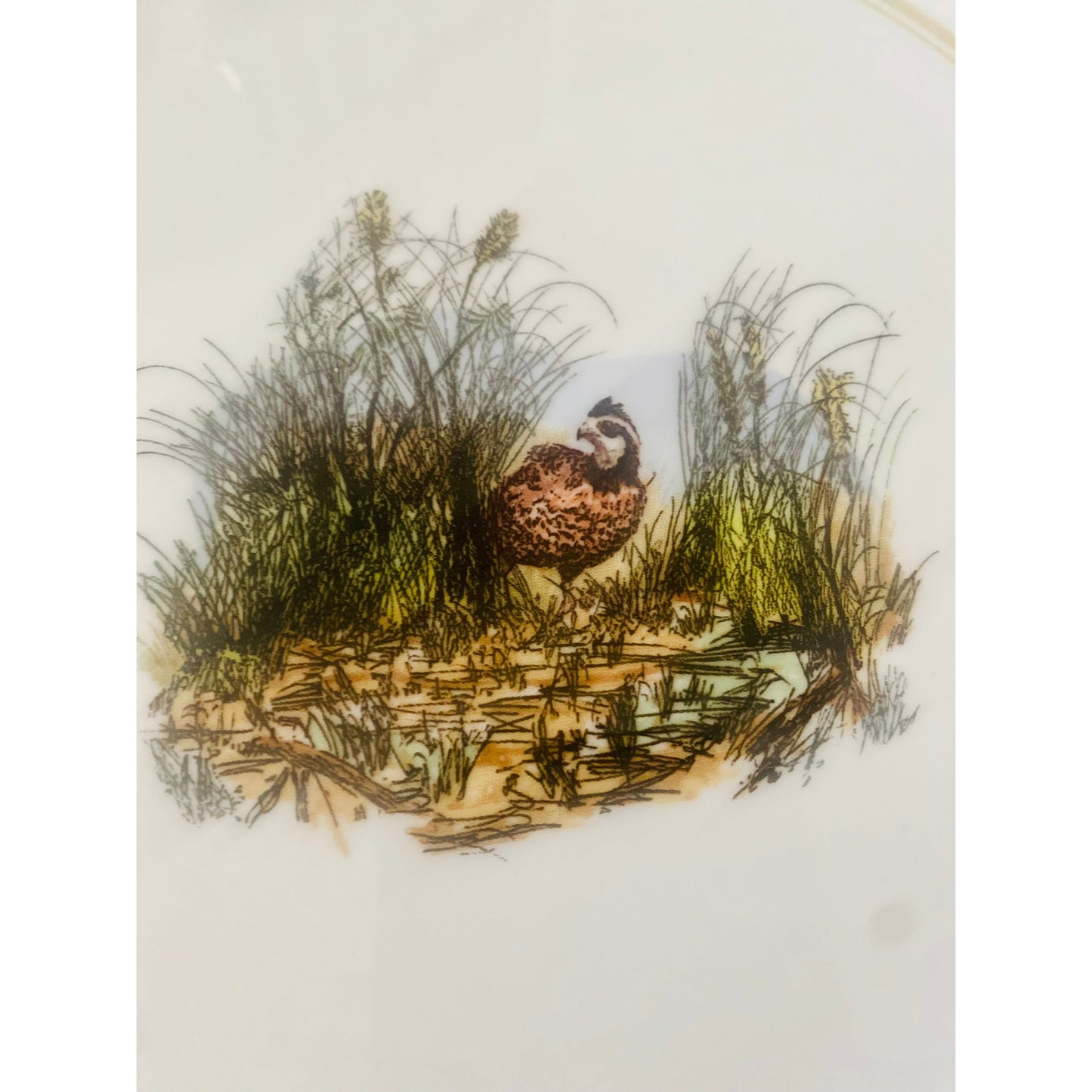 Nesting Quail Dinner Plate